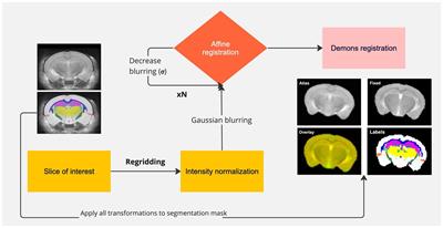 Early-stage mapping of macromolecular content in APPNL-F mouse model of Alzheimer’s disease using nuclear Overhauser effect MRI
